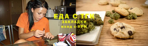 индика Алексин