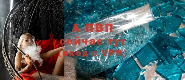 индика Алексин