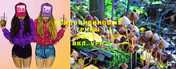 герыч Алзамай