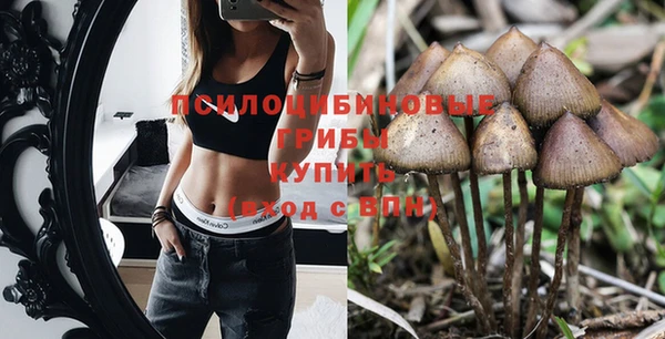 индика Алексин
