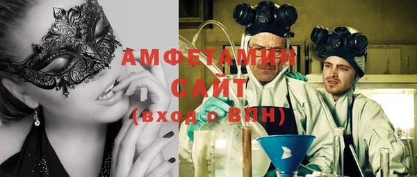 индика Алексин