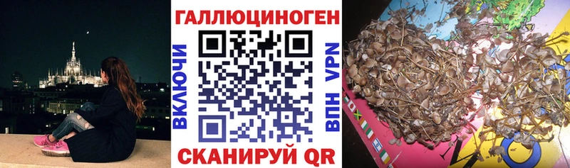 купить закладку  Всеволожск  Галлюциногенные грибы Psilocybe 