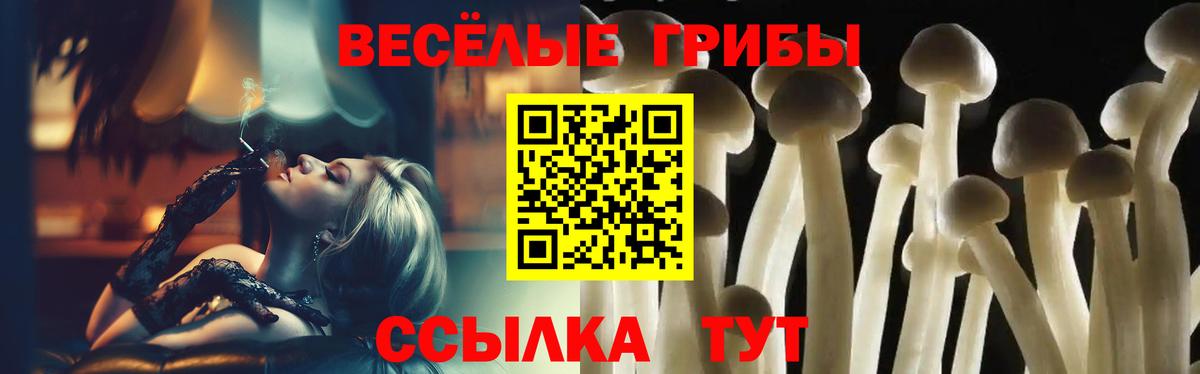 Псилоцибиновые грибы прущие грибы  Вход с VPN  Всеволожск  Галлюциногенные грибы ЛСД 
